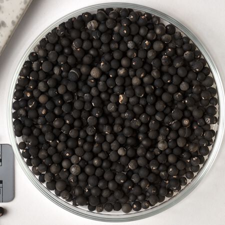 Bridal Creeper, Asparagus Fern Seed - Packet image number null
